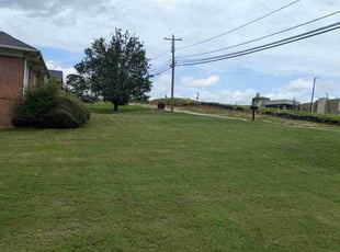 The M.'s Grass Cutting service result