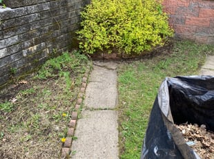 Leaf Removal by Jonathan Griser for Ashley Y. in Munhall, PA