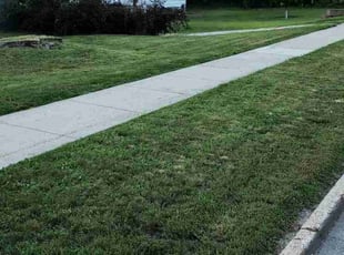 Patricia S.'s Grass Cutting service result