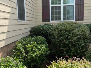 Bush Trimming by Clay Turner for Andrew K. in Charlotte, NC
