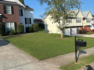 Yvonne P.'s Lawn Mowing Service service result