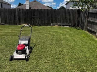 Dennis M.'s Lawn Mowing service result