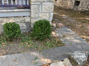 Bush Trimming by Richard Bagley for Brittany N. in Kansas City, MO