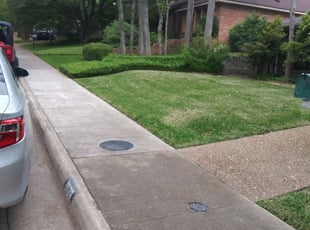 Bush Trimming by Rene Naranjo for Mary H. in Dallas, TX