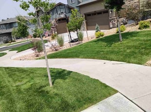 Merry M.'s Lawn Care service result