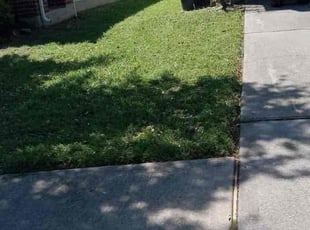 Susan Y.'s Yard Cutting service result