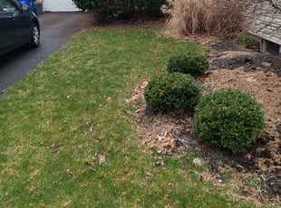 Cleanups by Kristina Steinhour for Devon R. in Columbus, OH