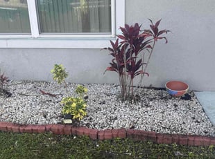Weeding by Jairo Ibero for Alizé C. in Kissimmee, FL