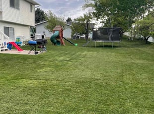 Rebecca W.'s Lawn Mowing service result