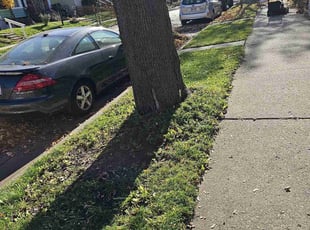 Leaf Removal by Robert Dowdy for Melissa H. in Milwaukee, WI