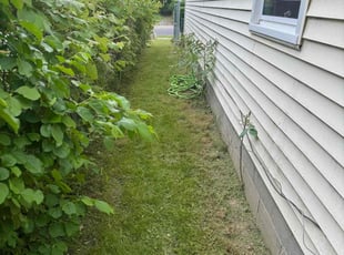 Clorissa M.'s Lawn Service service result