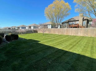Tonja R.'s Lawn Mowing service result