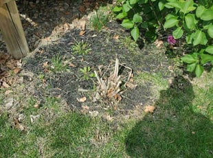 Cleanups by Jon Coen for Camilla H. in West Des Moines, IA
