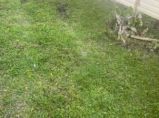Weeding by Don'Trayvis Vaught for Judy B. in Myrtle Beach, SC