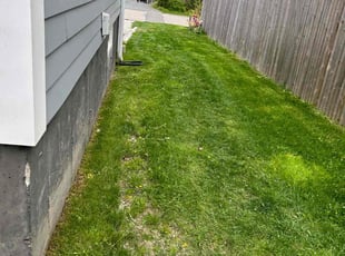 Natasha H.'s Grass Cutting service result