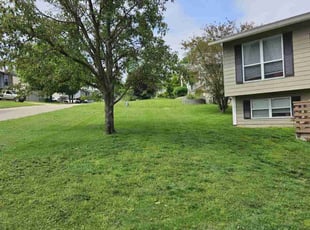 Calya S.'s Lawn Service service result