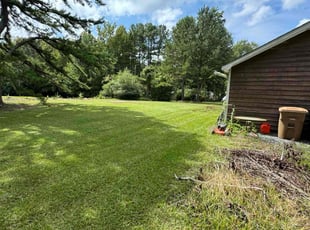 Tammy H.'s Lawn Mowing service result