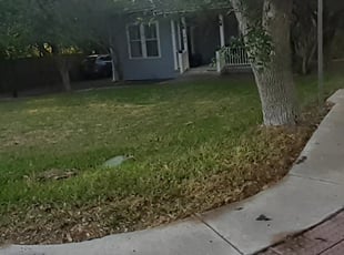 Leaf Removal by Rene Yanez for Herbie G. in San Antonio, TX