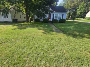 Jamie S.'s Yard Cutting service result