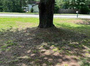 Weeding by Nathan Otwell for LaWayne M. in Lawrenceville, GA