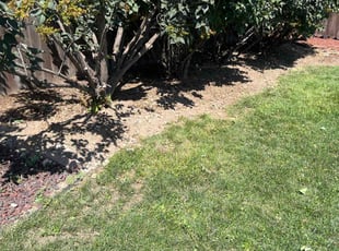 Weeding by Scott Ellis for Carol C. in Boise, ID