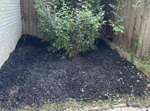 Weeding by Mark Trimble for Mary J. in Oklahoma City, OK
