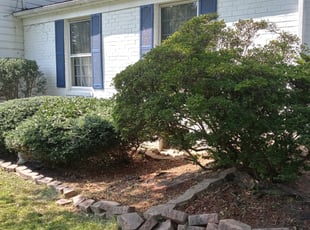 Landscaping by candelario castillo for Thomas D. in Annandale, VA