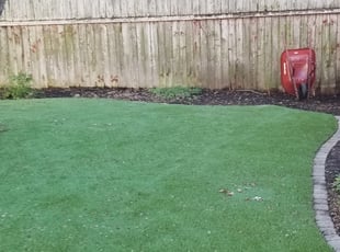 Cleanups by Steve Perry for Rachel W. in Austin, TX
