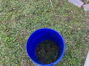 Weeding by Elvin Aponte for Scott M. in Kissimmee, FL