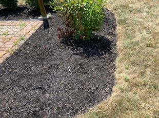 Landscaping by Dashawn Willis for Lisa J. in Hilliard, OH