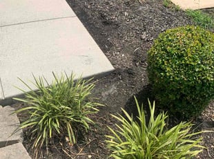 Weeding by Tyler Isaacs for Trish E. in Upper Marlboro, MD