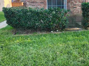 Bush Trimming by Ricardo Soto for Arnab M. in Plano, TX