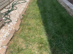 Ethan B.'s Lawn Mowing Service service result