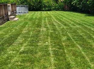 Carla P.'s Grass Cutting service result