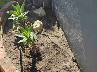 Cleanups by Armando Escobedo for Kendra M. in Torrance, CA