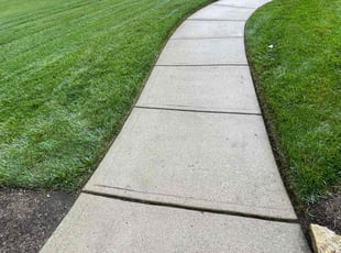 Dwayne M.'s Lawn Care service result