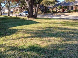 Laura L.'s Lawn Mowing service result