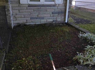 Weeding by Daniel Bunch for Elaine W. in Columbus, OH