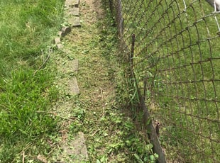 Weeding by Jalen Barbee for Don K. in Dearborn Heights, MI