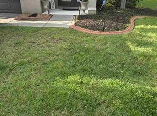 Weeding by Sean Hendrickson for Marquetta W. in Tampa, FL