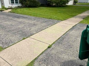 Alexis M.'s Lawn Service service result