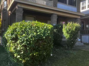 Bush Trimming by James Abernathy for Asha L. in Cincinnati, OH