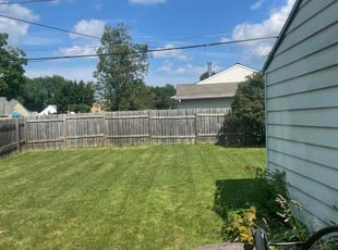 Matthew M.'s Lawn Mowing service result