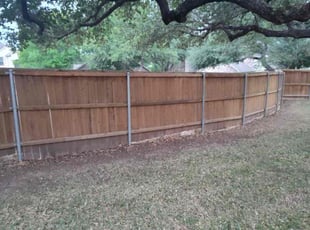 Leaf Removal by Wilmer Guevara for Zack C. in Leander, TX