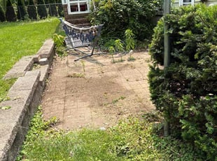 Leaf Removal by Terrence Johnson for David K. in Catonsville, MD