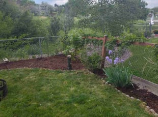 Weeding by Alley Parker for Nina M. in Arvada, CO