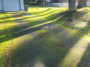 Cleanups by Marydonna Barkley for Terri R. in Spanaway, WA