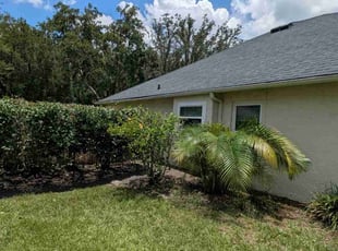 Bush Trimming by James Anderson for Melanie S. in Tampa, FL
