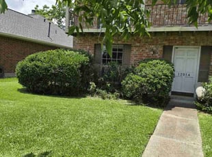 Bush Trimming by Hugo Melgar for Michiko W. in Stafford, TX