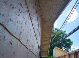 Cleanups by Carlos Dukes for Shawn S. in Fort Worth, TX